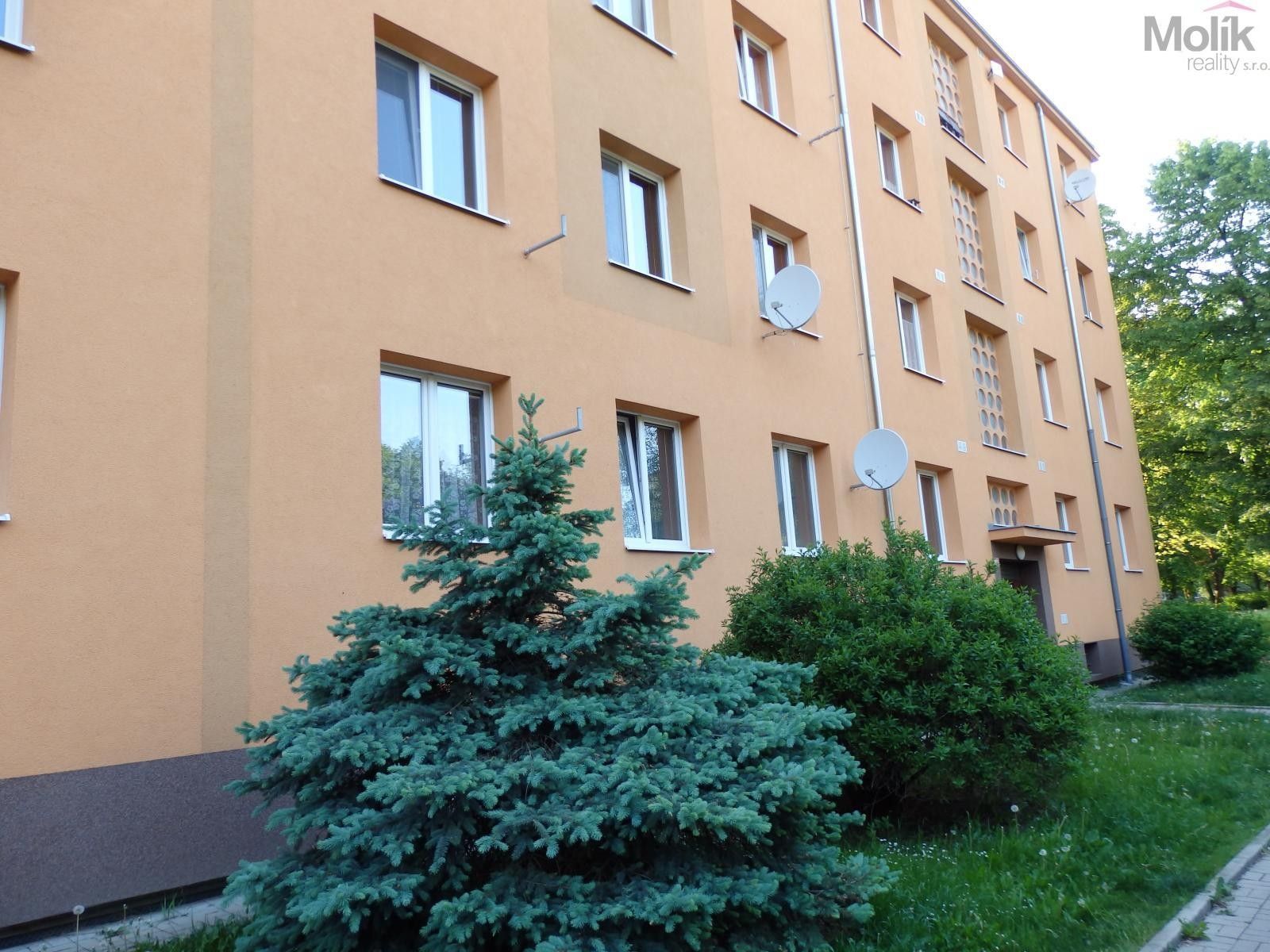 Pronájem bytu 3+1 63 m² - foto 1