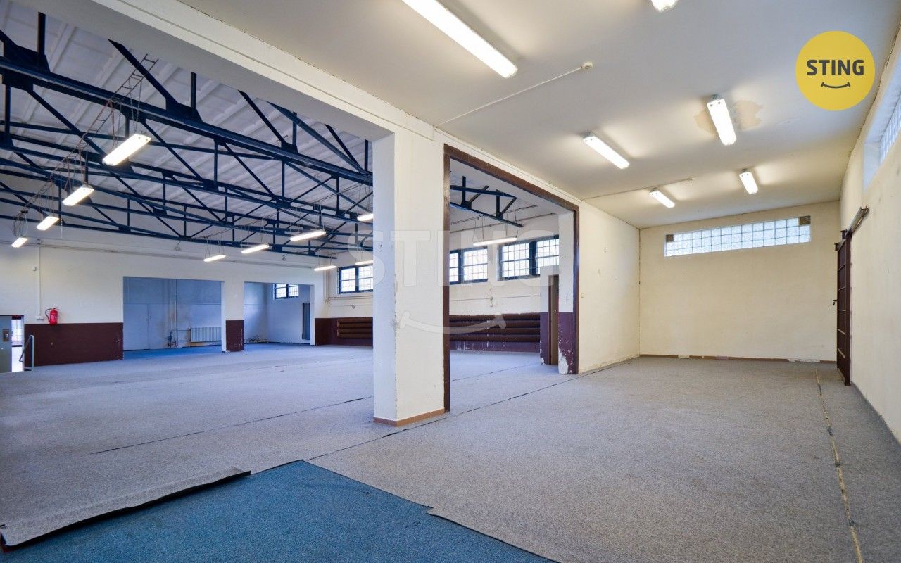Prodej komerčního prostoru 250 m² - foto 5