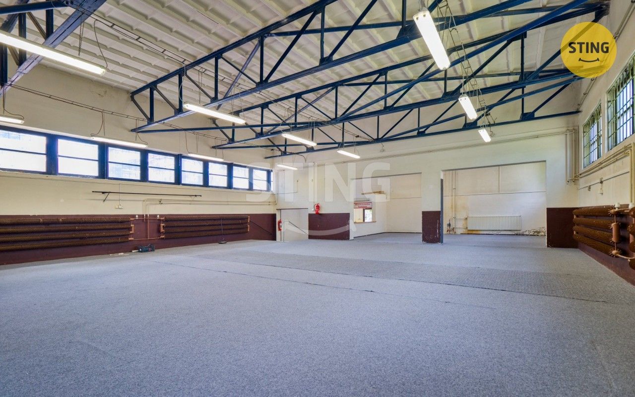 Prodej komerčního prostoru 250 m² - foto 4