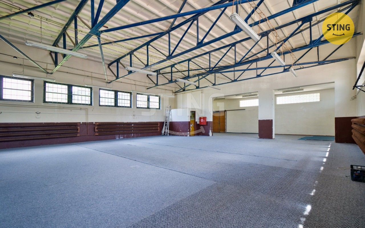 Prodej komerčního prostoru 250 m² - foto 6