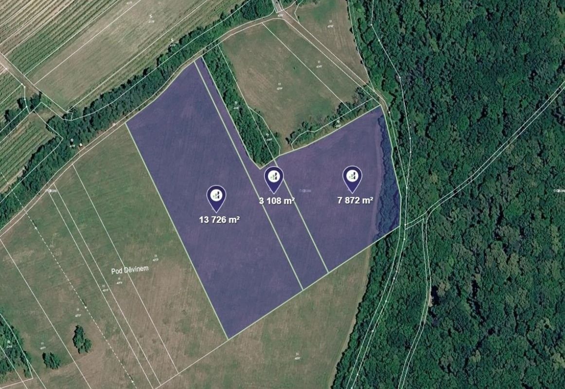 Prodej pozemku 24706 m² - foto 1
