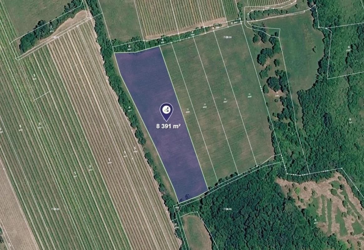 Prodej pozemku 8391 m² - foto 1