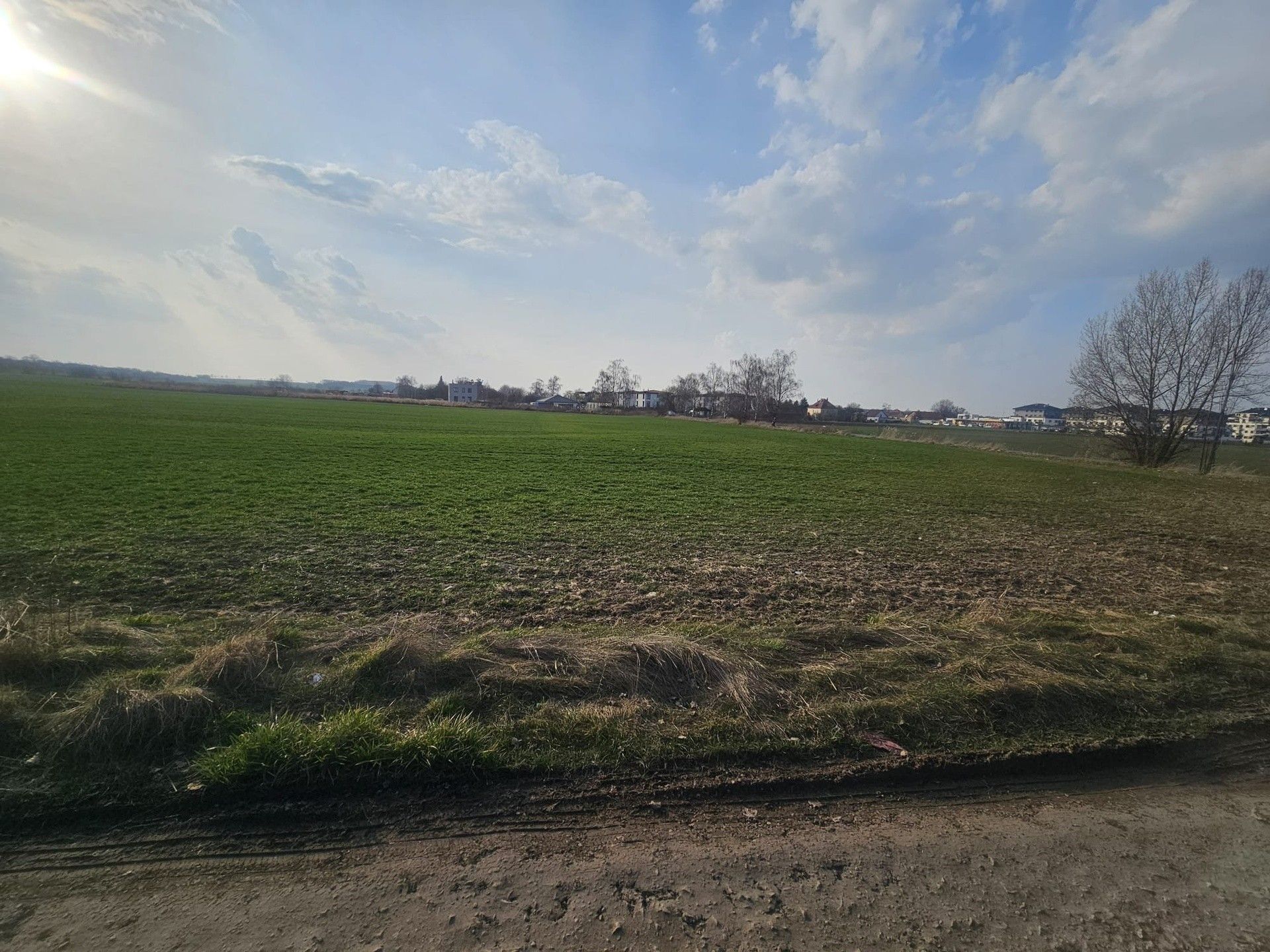 Prodej nemovitosti 11838 m² - foto 18
