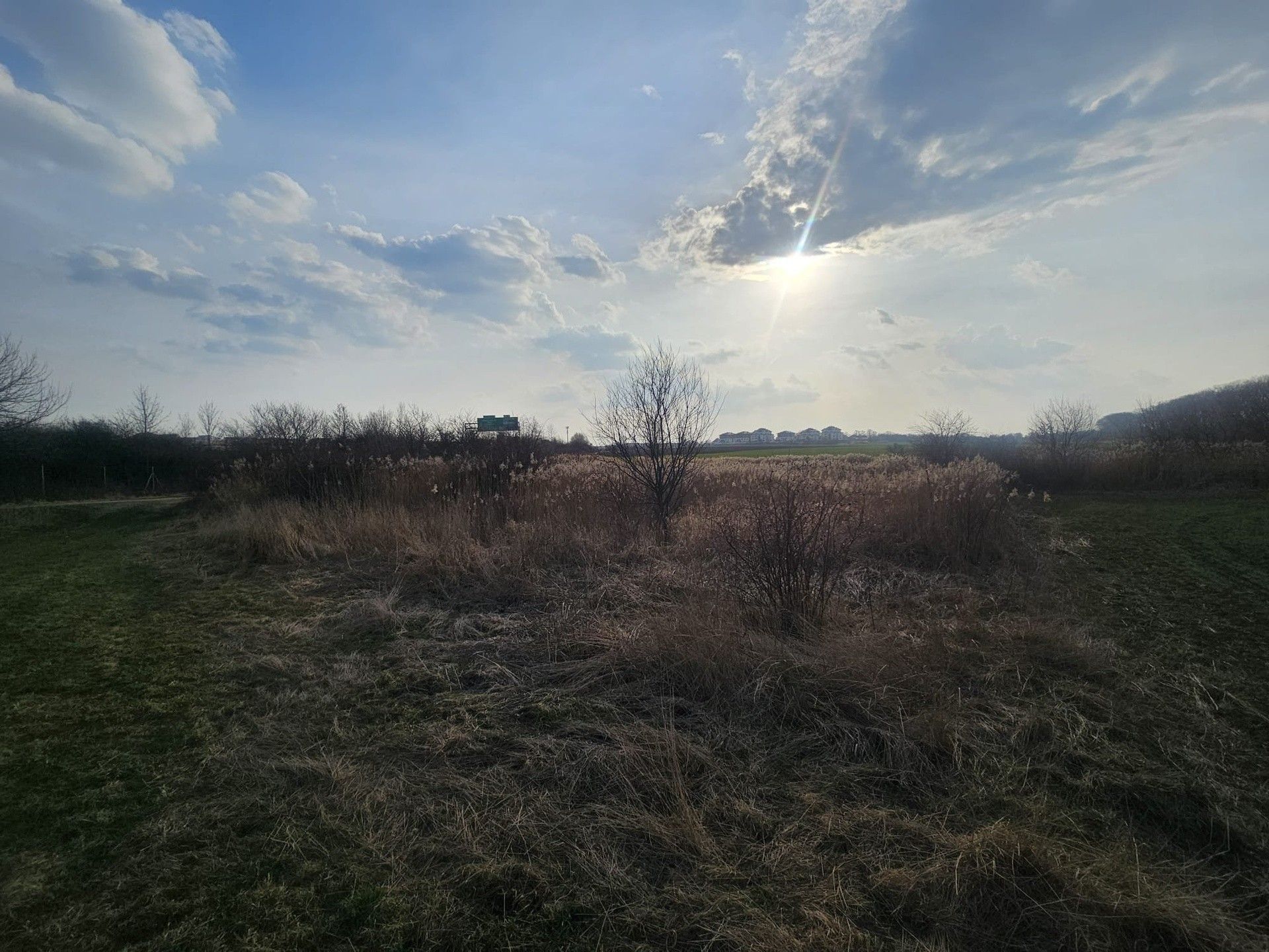 Prodej nemovitosti 11838 m² - foto 22