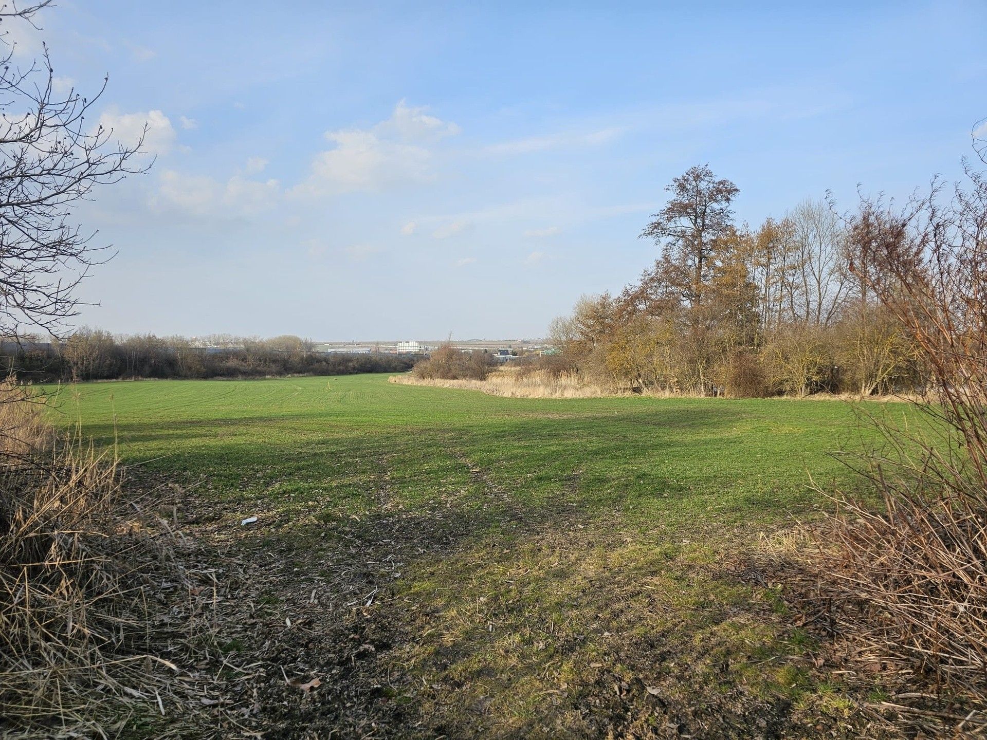 Prodej nemovitosti 11838 m² - foto 21