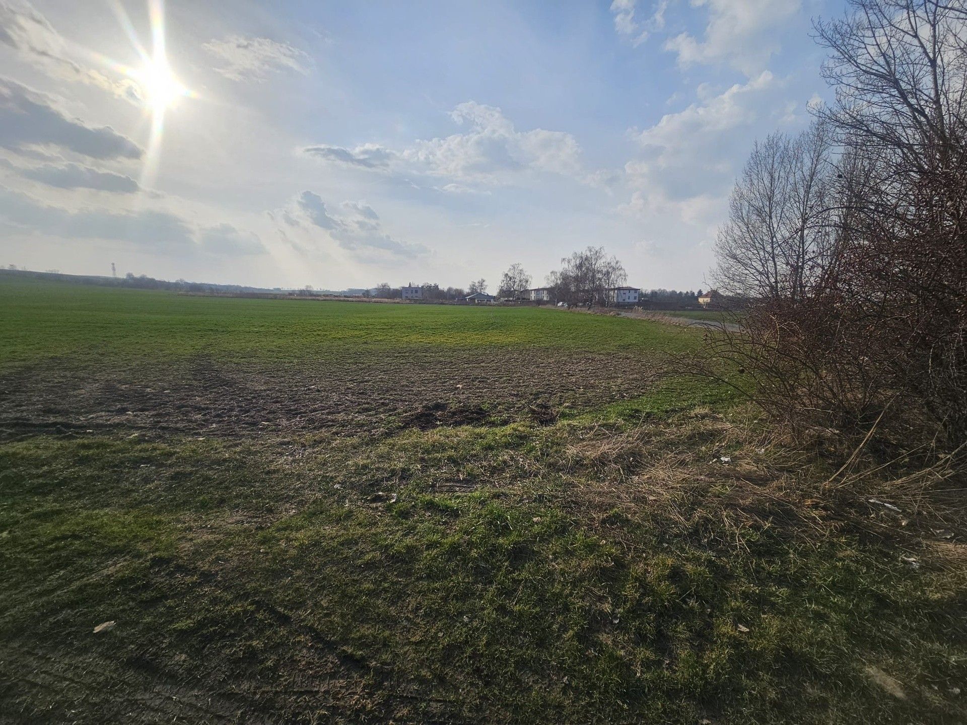 Prodej nemovitosti 11838 m² - foto 20