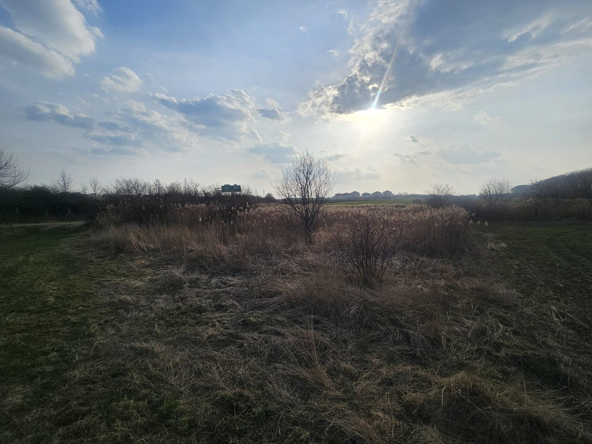 Prodej nemovitosti 11838 m² - foto 24