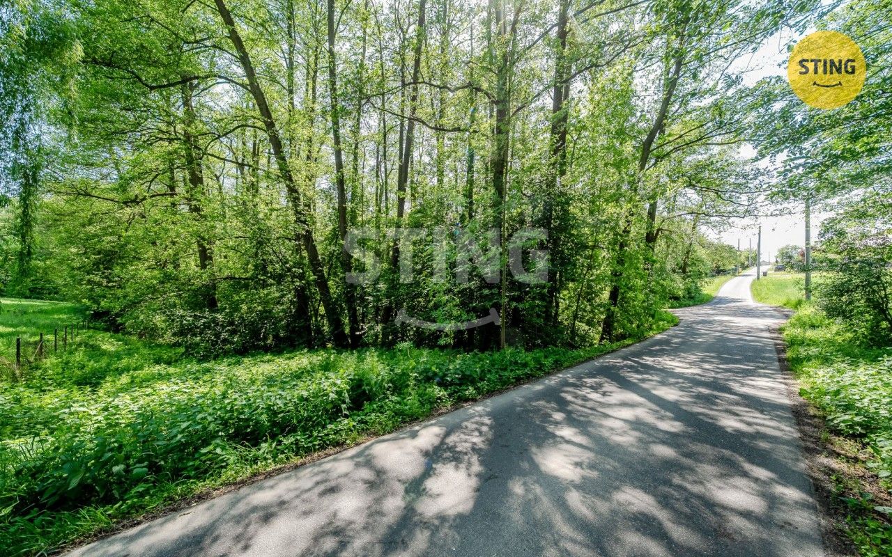 Prodej nemovitosti 2329 m² - foto 6