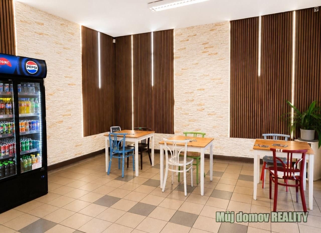 Pronájem nemovitosti 75 m² - foto 9