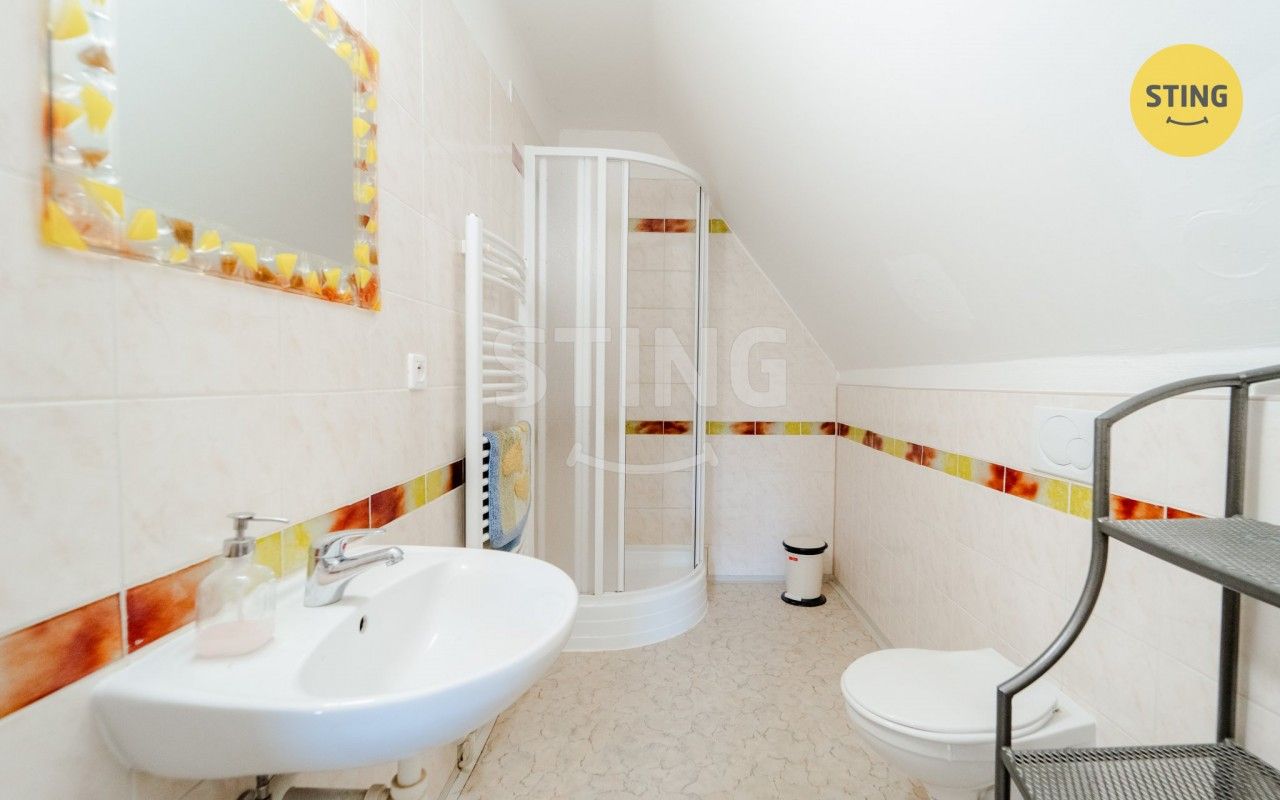 Prodej nemovitosti 480 m² - foto 10
