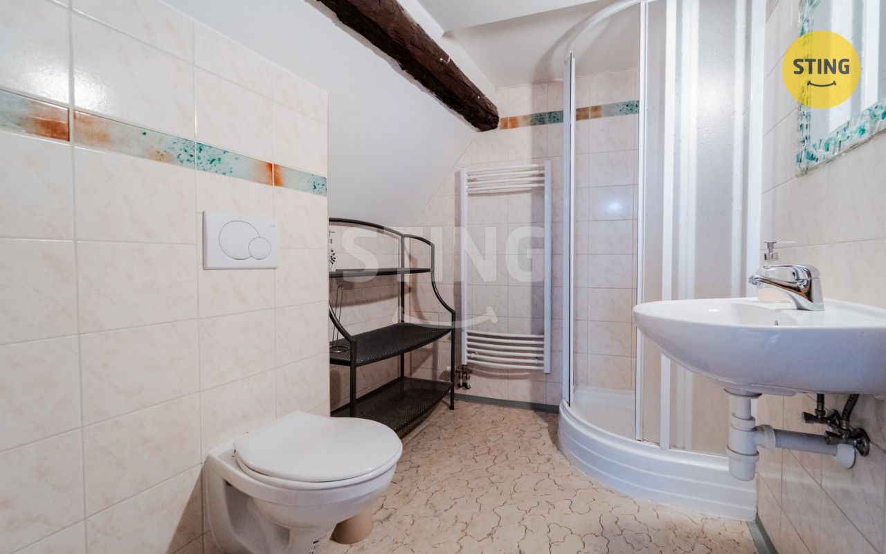 Prodej domu 480 m² - foto 19