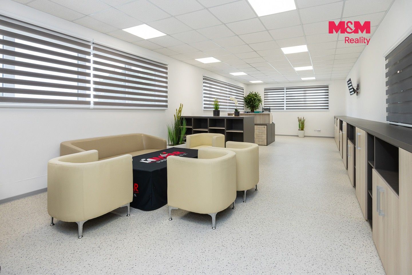 Prodej komerčního prostoru 5179 m² - foto 4