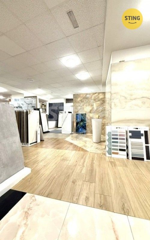 Pronájem komerčního prostoru 401 m² - foto 9