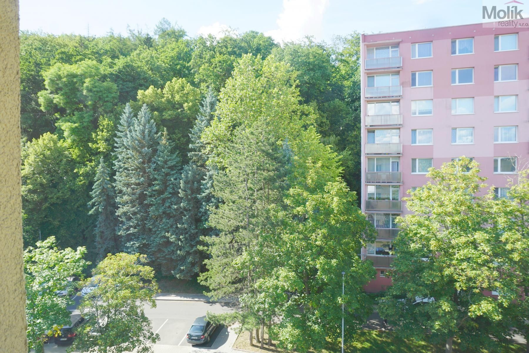 Prodej bytu 3+1 64 m² - foto 20