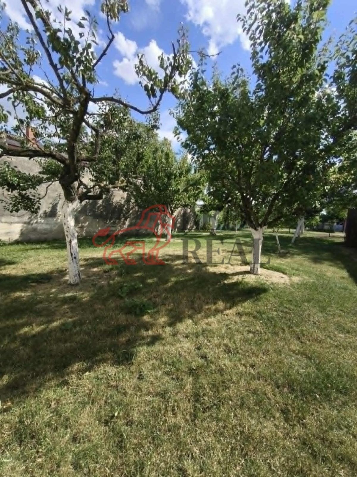 Prodej domu 120 m² - foto 8