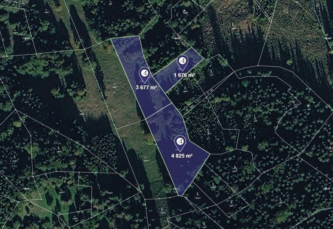 Prodej pozemku 10178 m² - foto 1