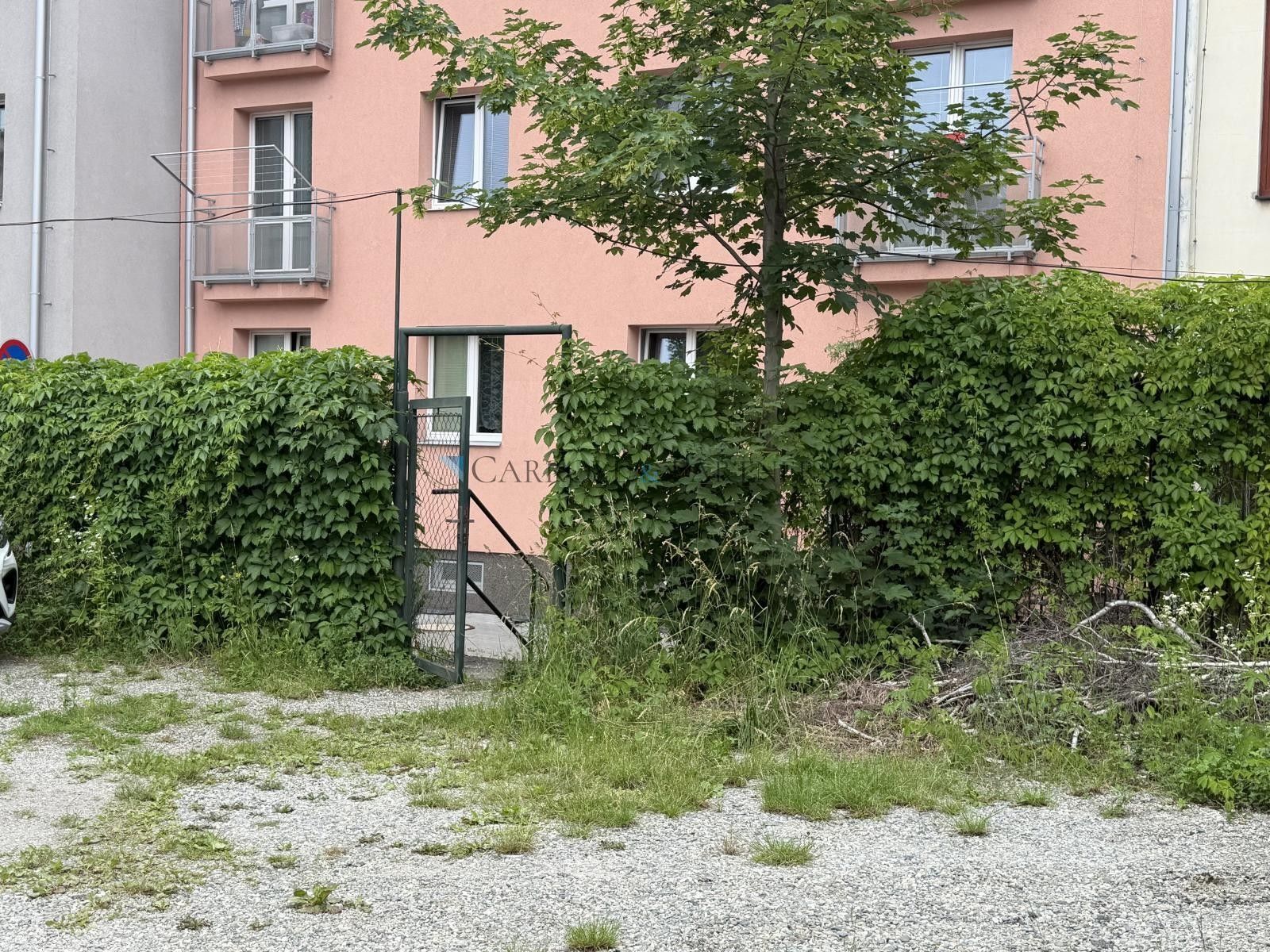 Pronájem nemovitosti 21 m² - foto 6