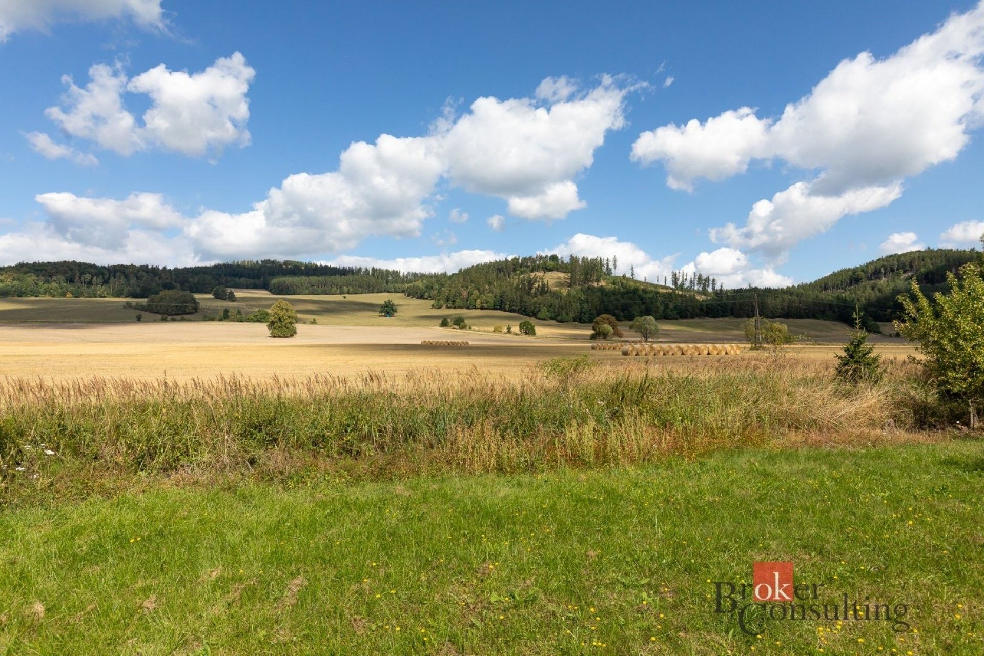Prodej pozemku 1623 m² - foto 12