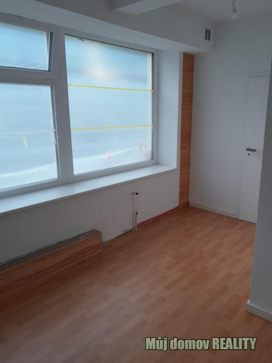 Pronájem nemovitosti 20 m² - foto 2