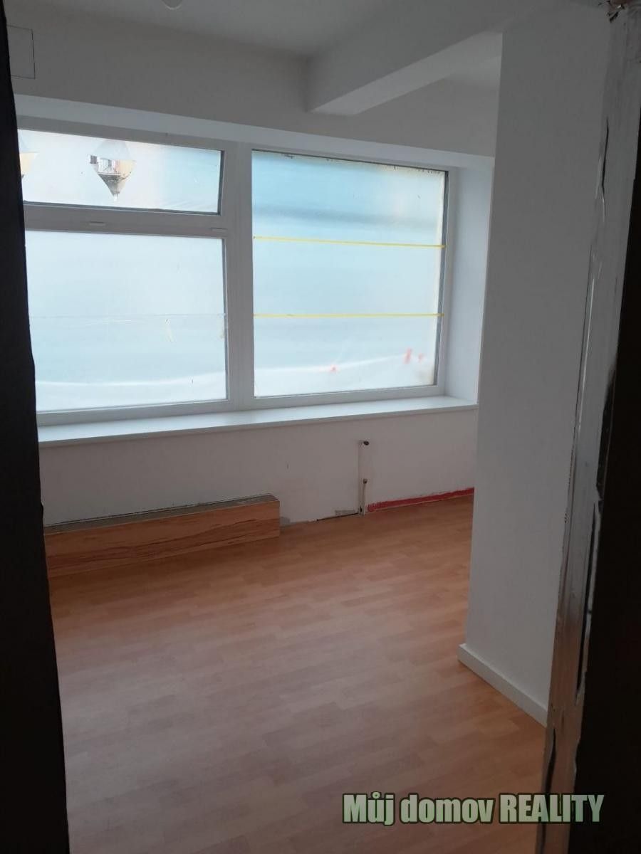 Pronájem nemovitosti 20 m² - foto 4