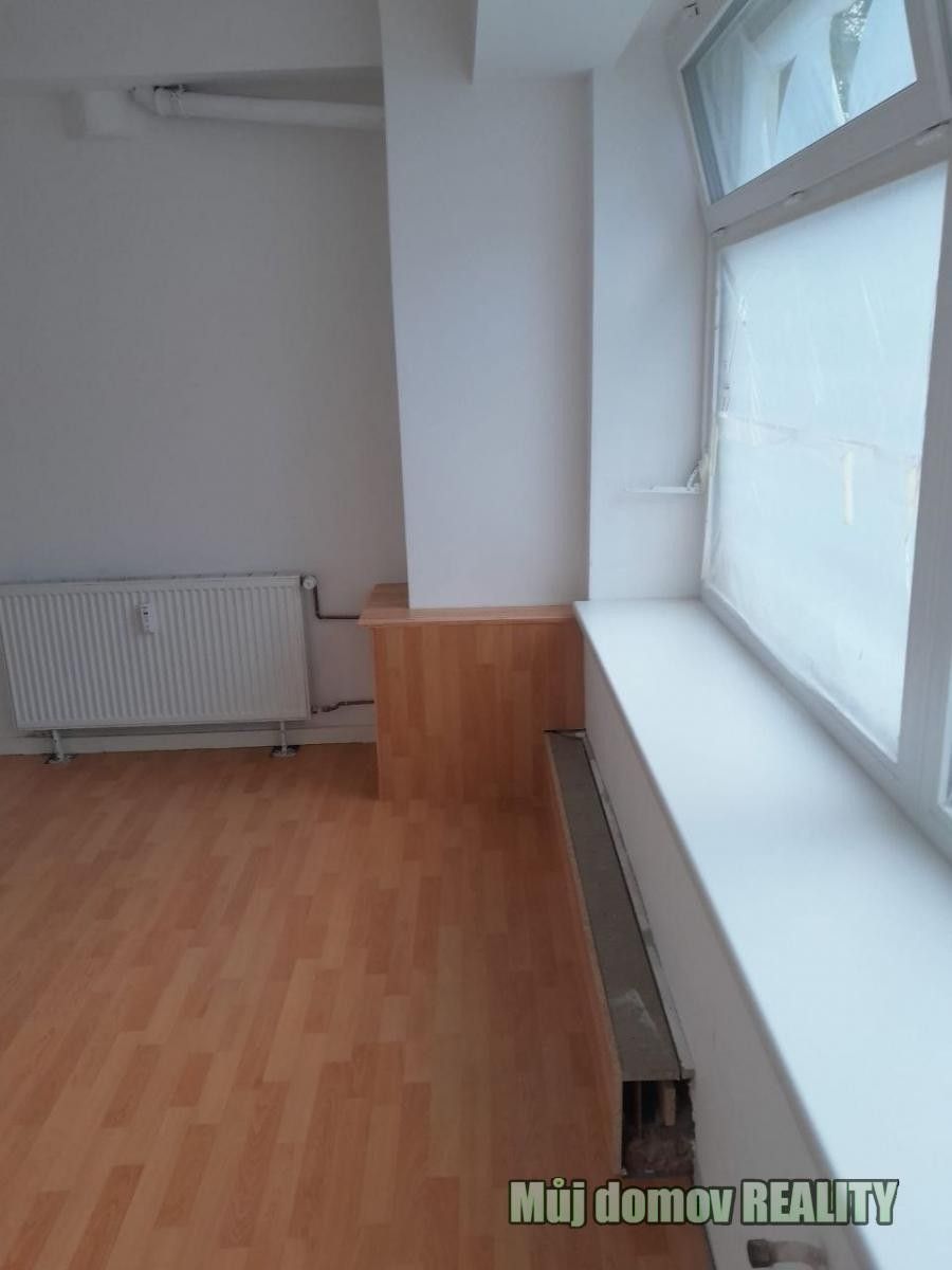 Pronájem nemovitosti 20 m² - foto 5