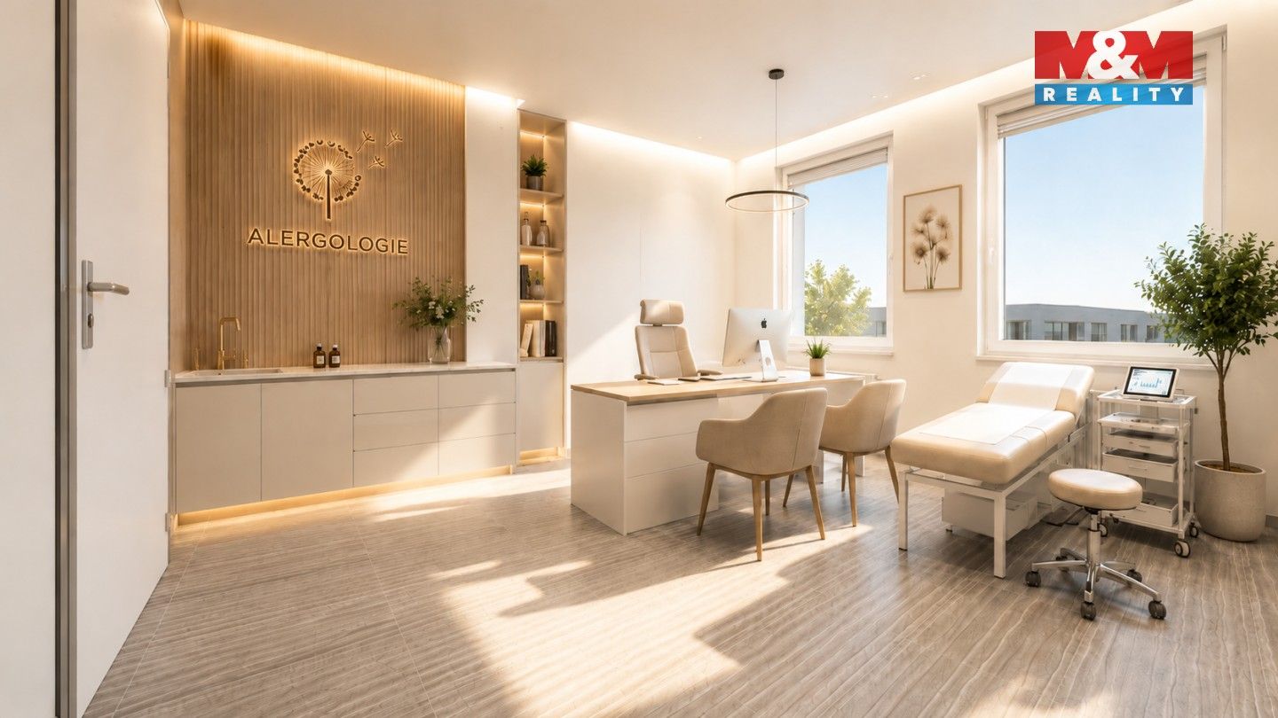 Prodej komerčního prostoru 425 m² - foto 5