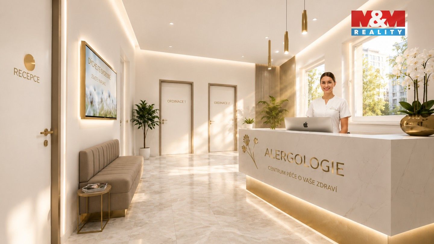 Prodej komerčního prostoru 425 m² - foto 11