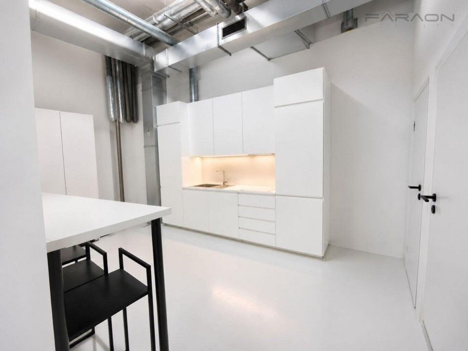 Pronájem komerčního prostoru 365 m² - foto 13