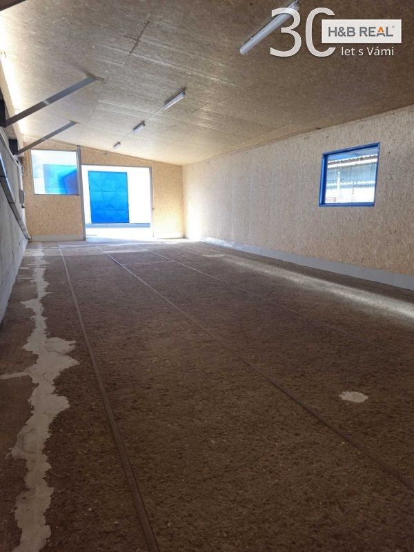 Pronájem komerčního prostoru 117 m² - foto 6