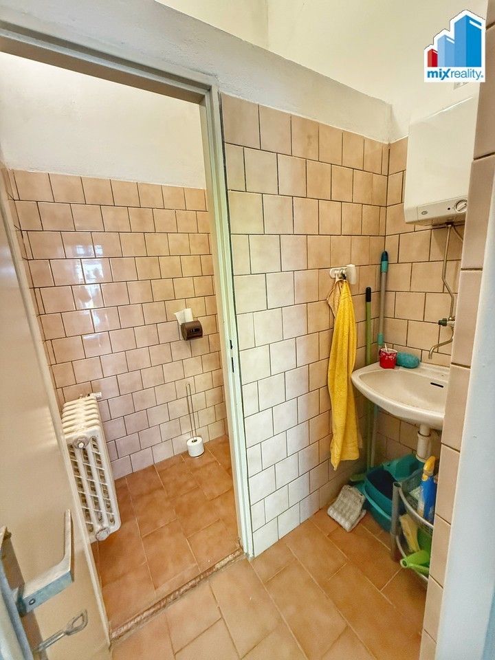 Pronájem komerčního prostoru 56 m² - foto 10