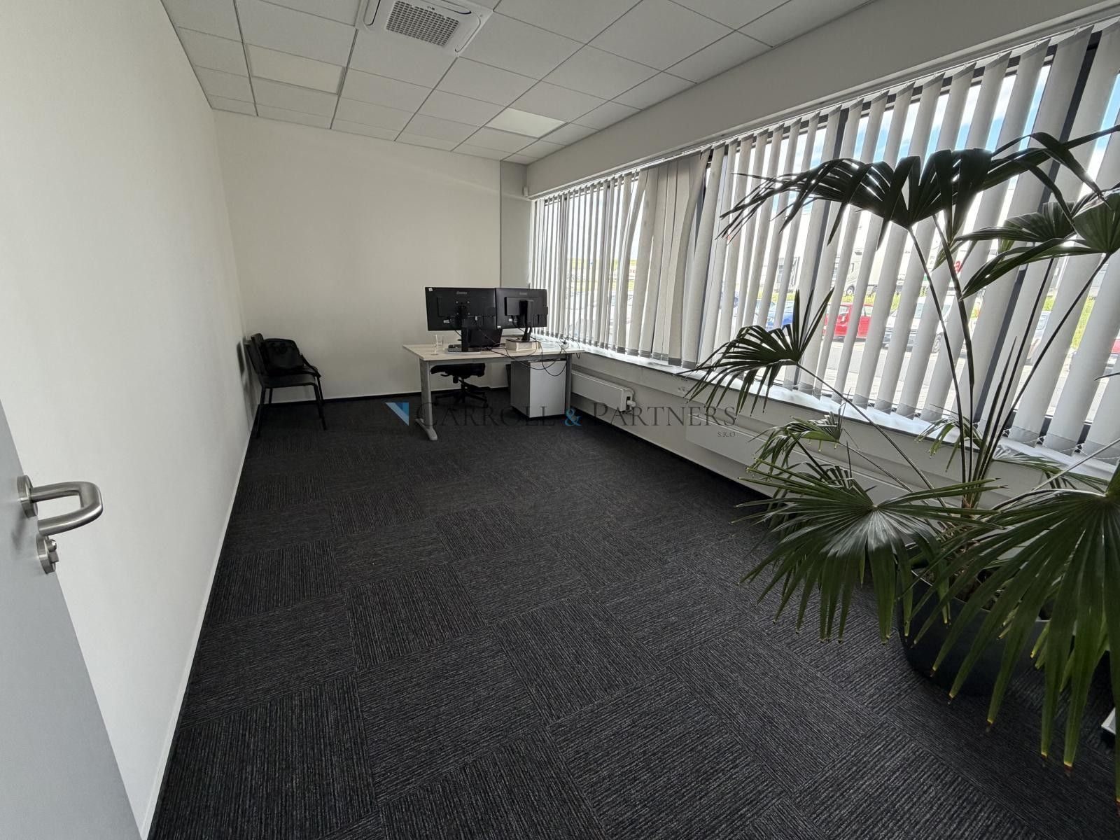 Pronájem komerčního prostoru 2624 m² - foto 8