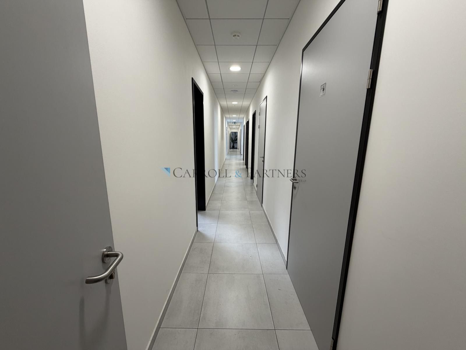 Pronájem komerčního prostoru 2624 m² - foto 12