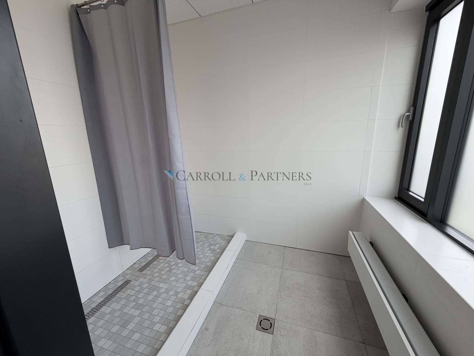 Pronájem komerčního prostoru 2624 m² - foto 15