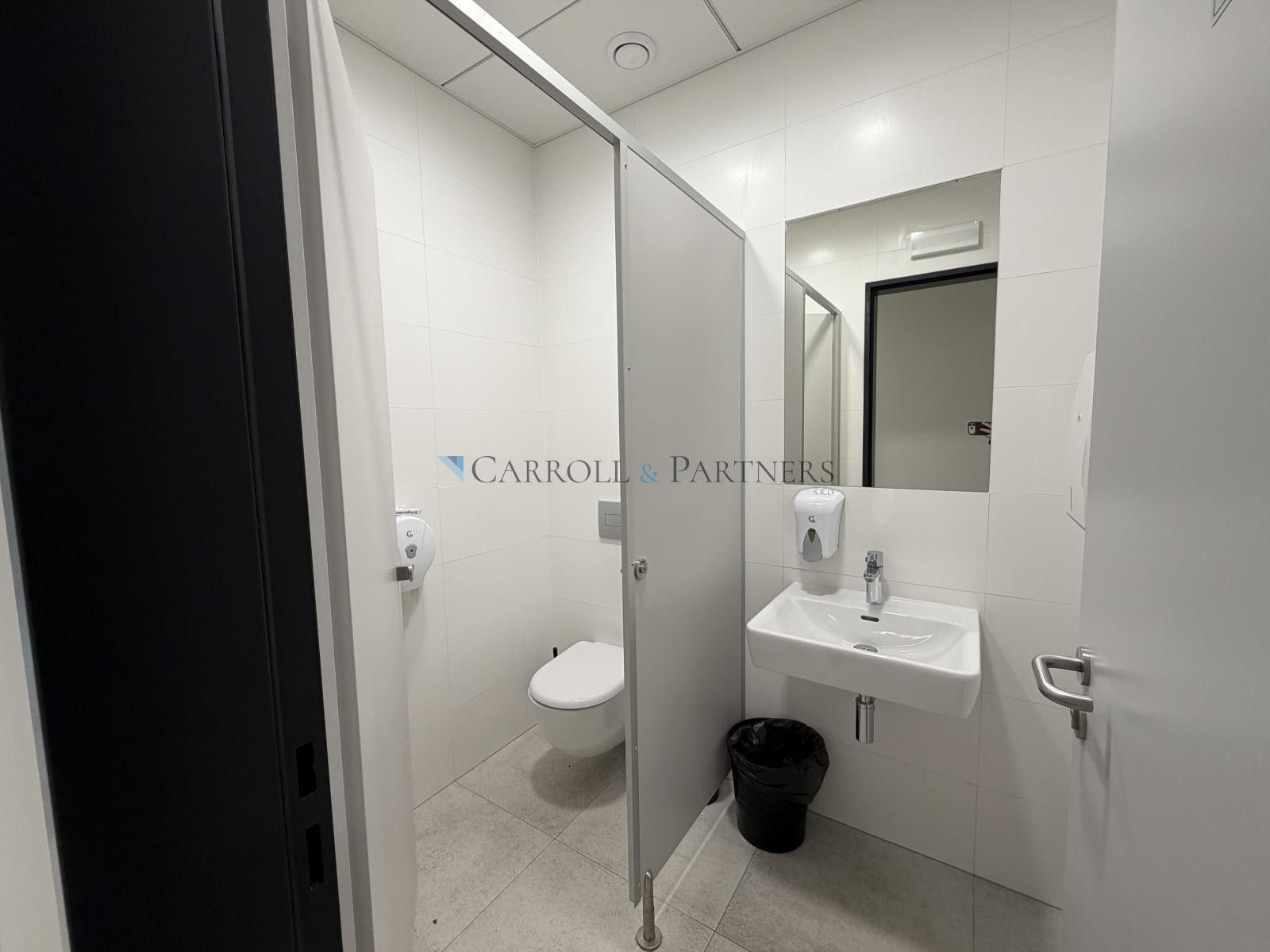 Pronájem komerčního prostoru 2624 m² - foto 14