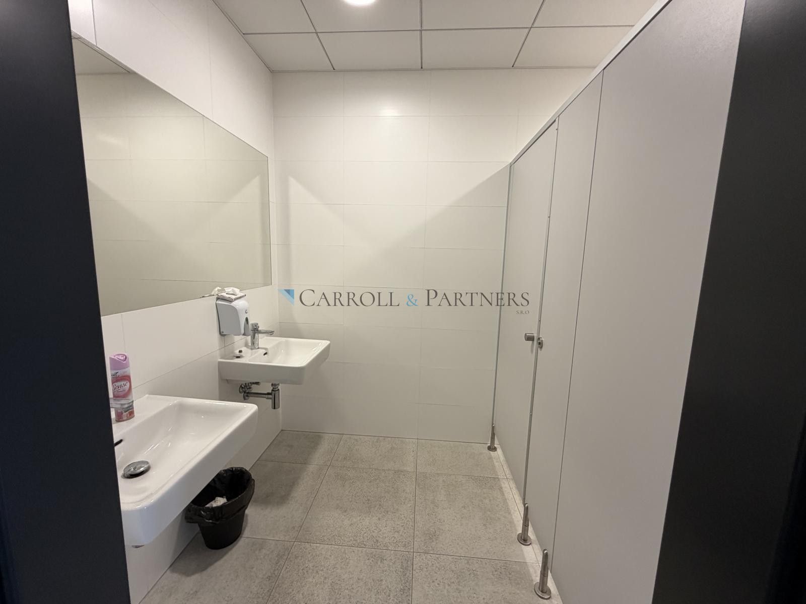 Pronájem komerčního prostoru 2624 m² - foto 16