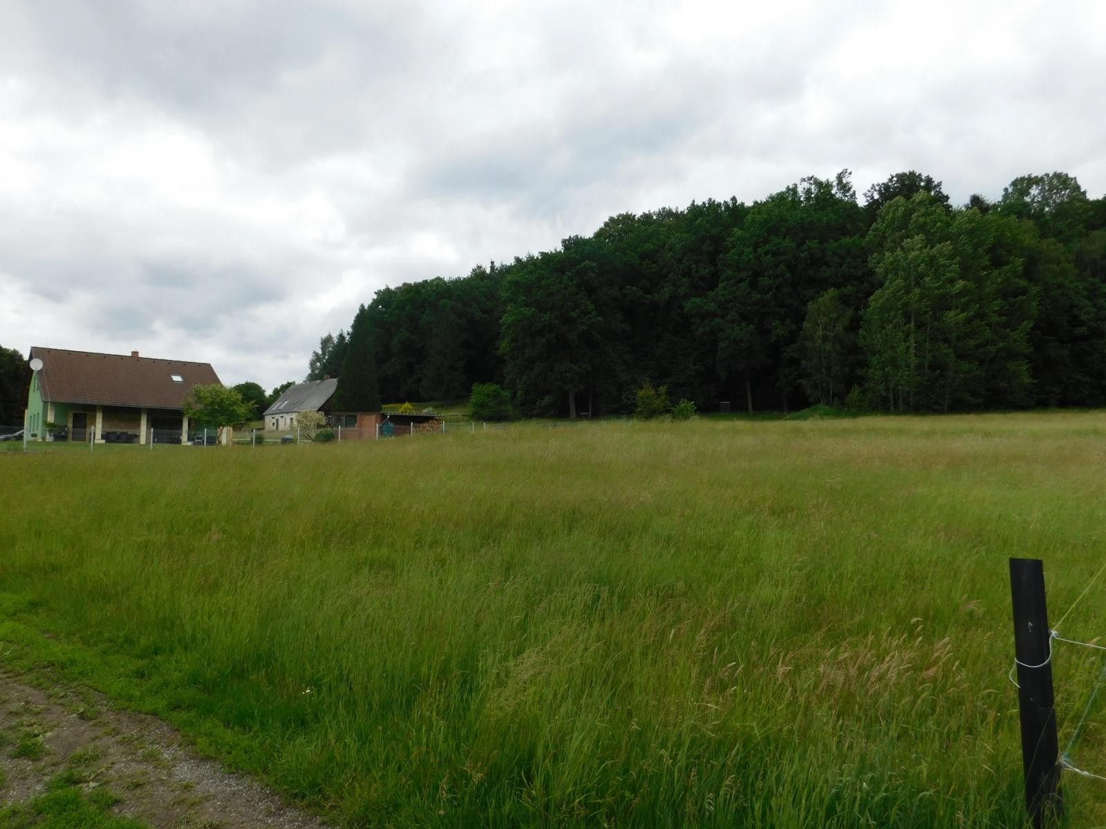 Prodej pozemku 4005 m² - foto 4