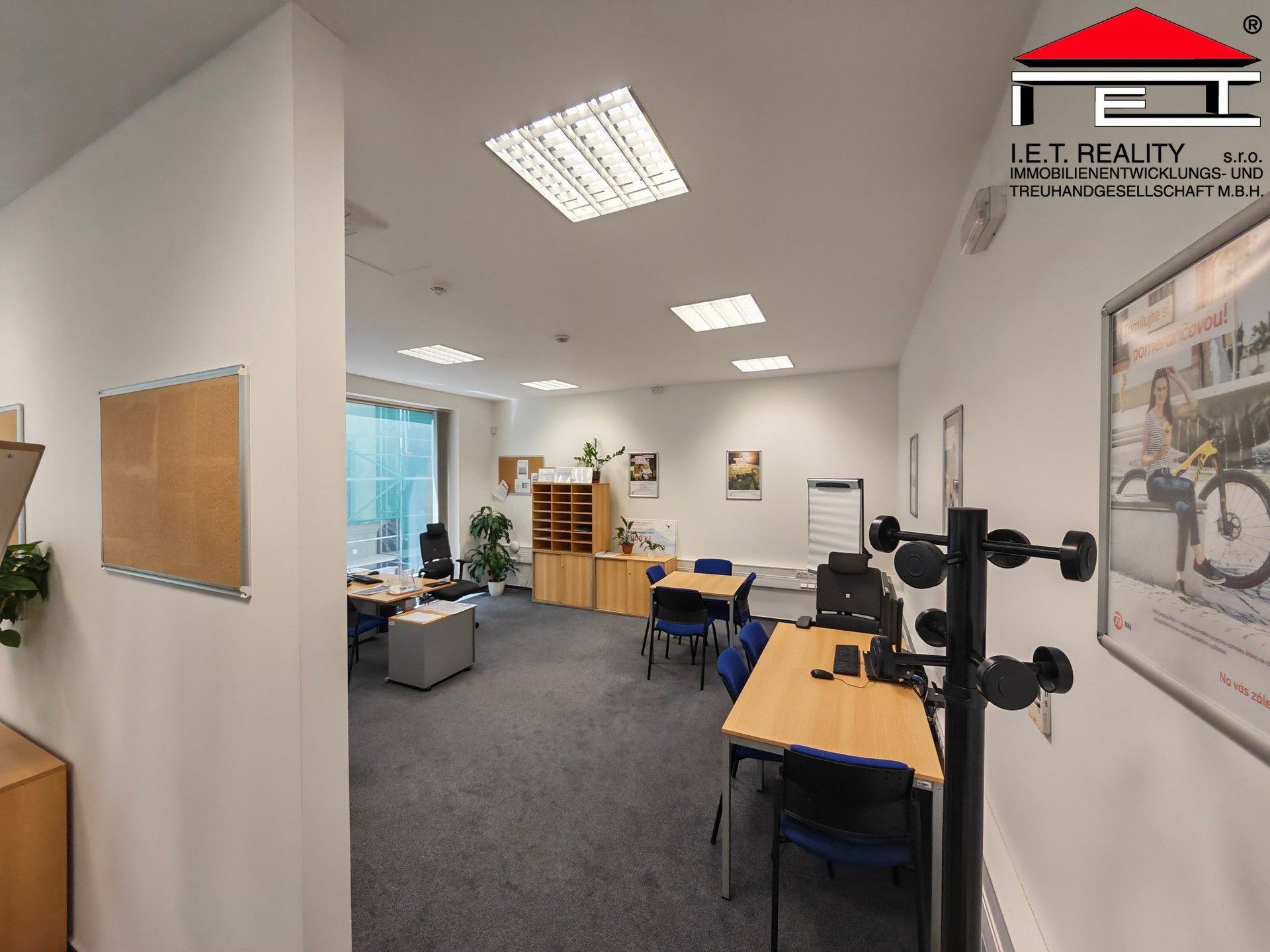 Pronájem komerčního prostoru 264 m² - foto 6