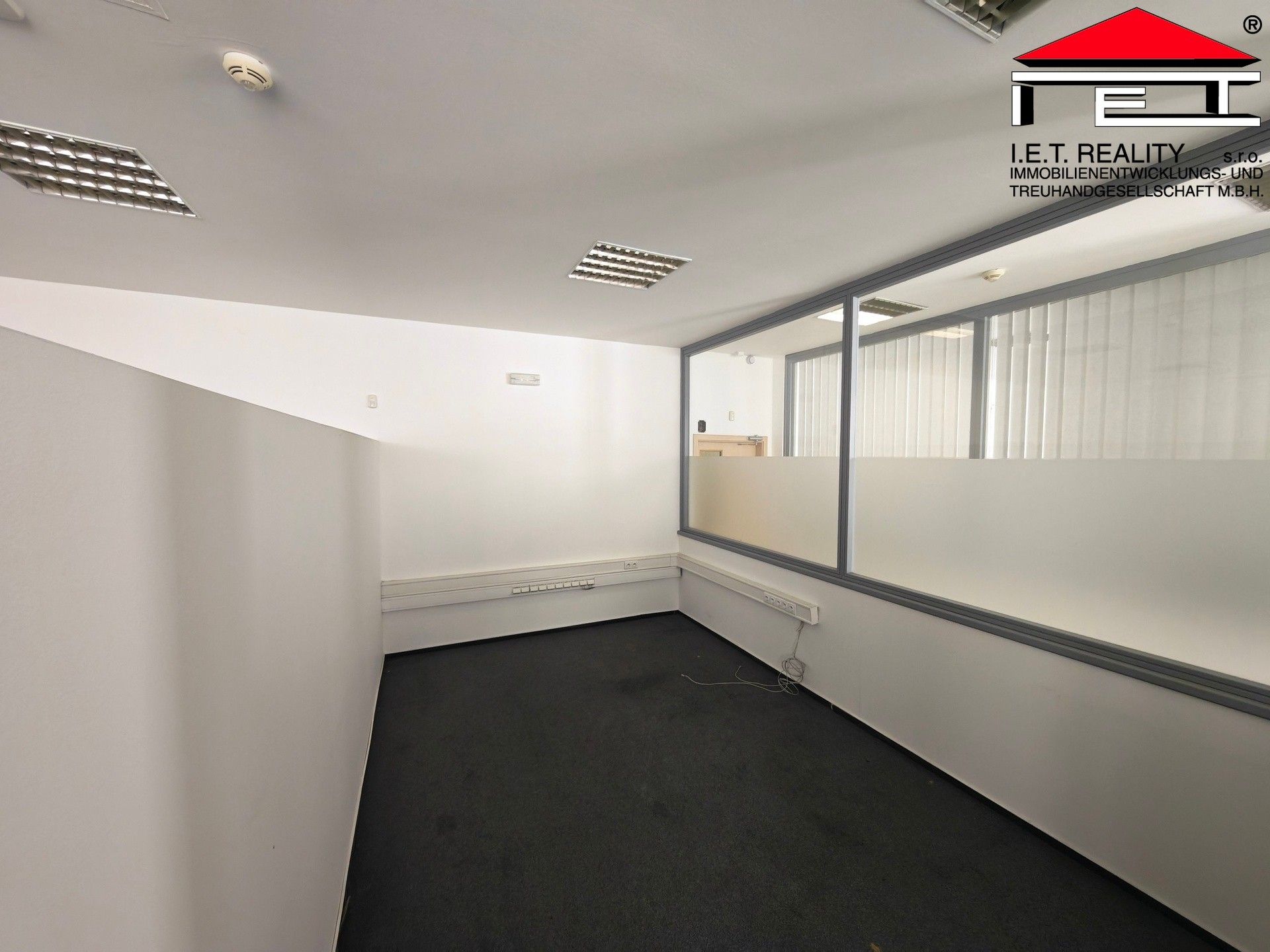 Pronájem komerčního prostoru 264 m² - foto 4