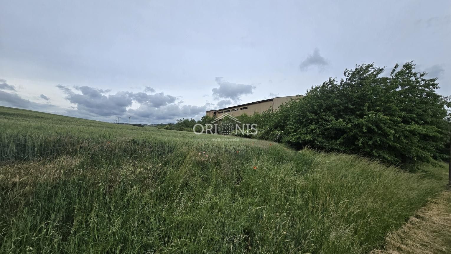 Prodej pozemku 8620 m² - foto 5