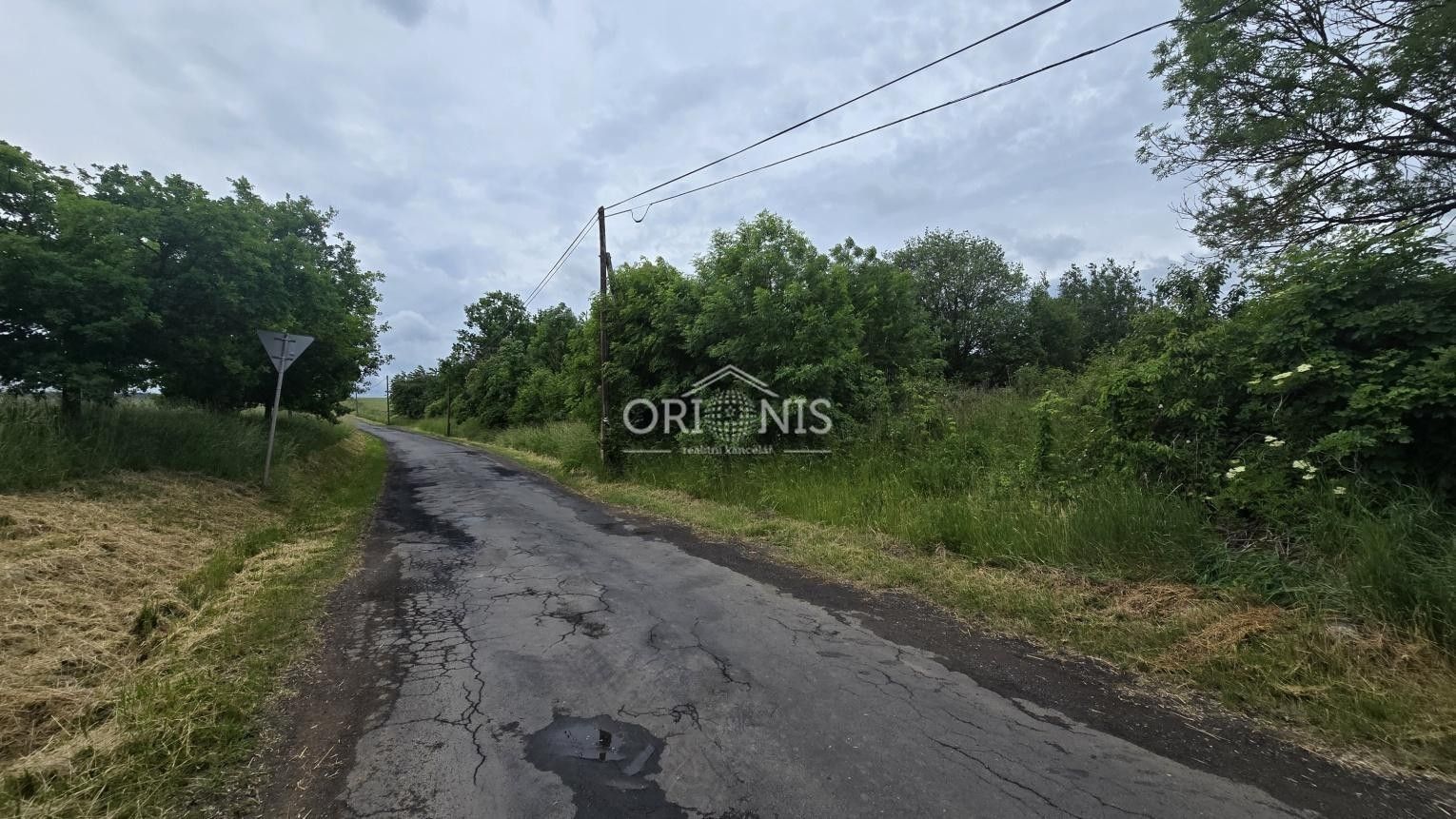Prodej pozemku 8620 m² - foto 4