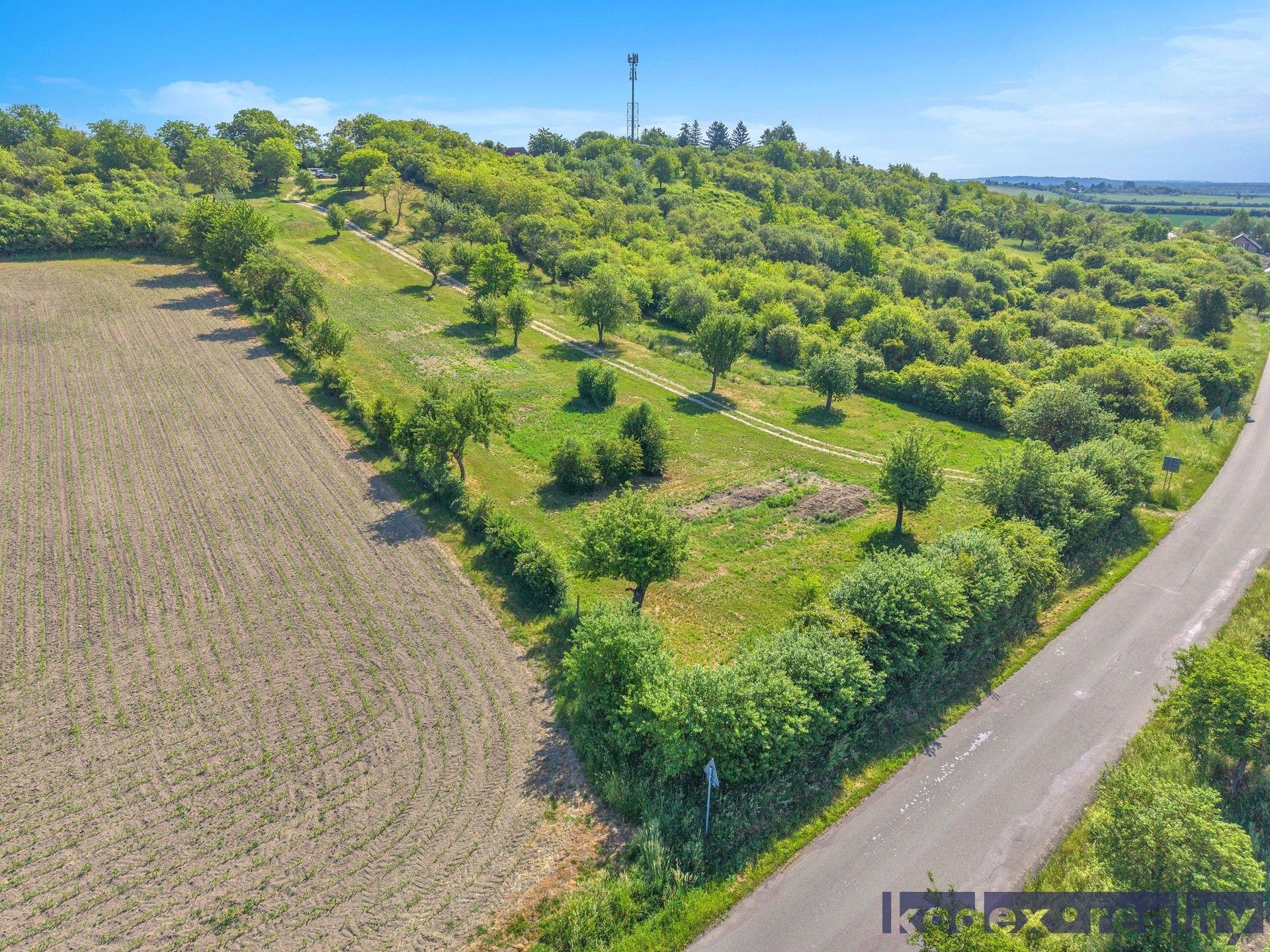 Prodej pozemku 8945 m² - foto 5