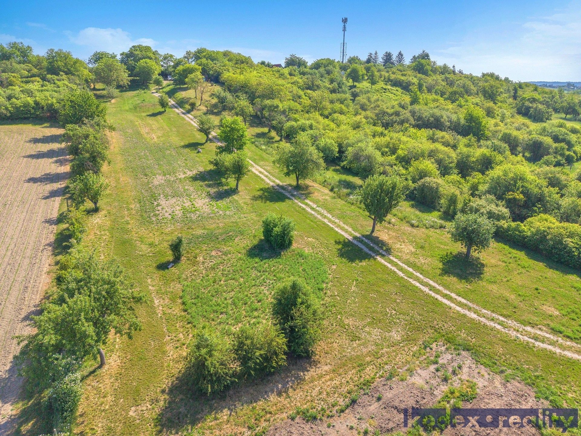 Prodej pozemku 8945 m² - foto 6