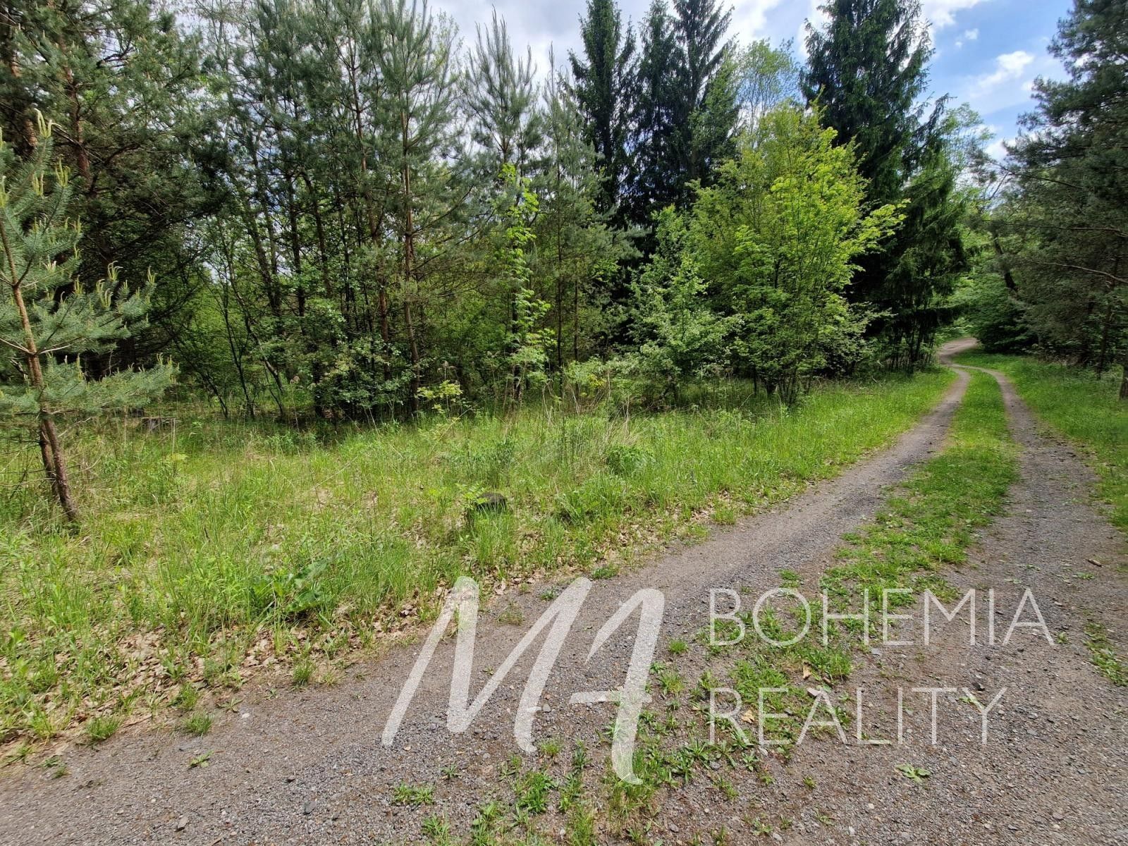 Prodej nemovitosti 15564 m² - foto 6