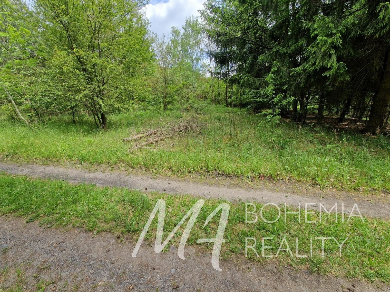 Prodej nemovitosti 15564 m² - foto 7