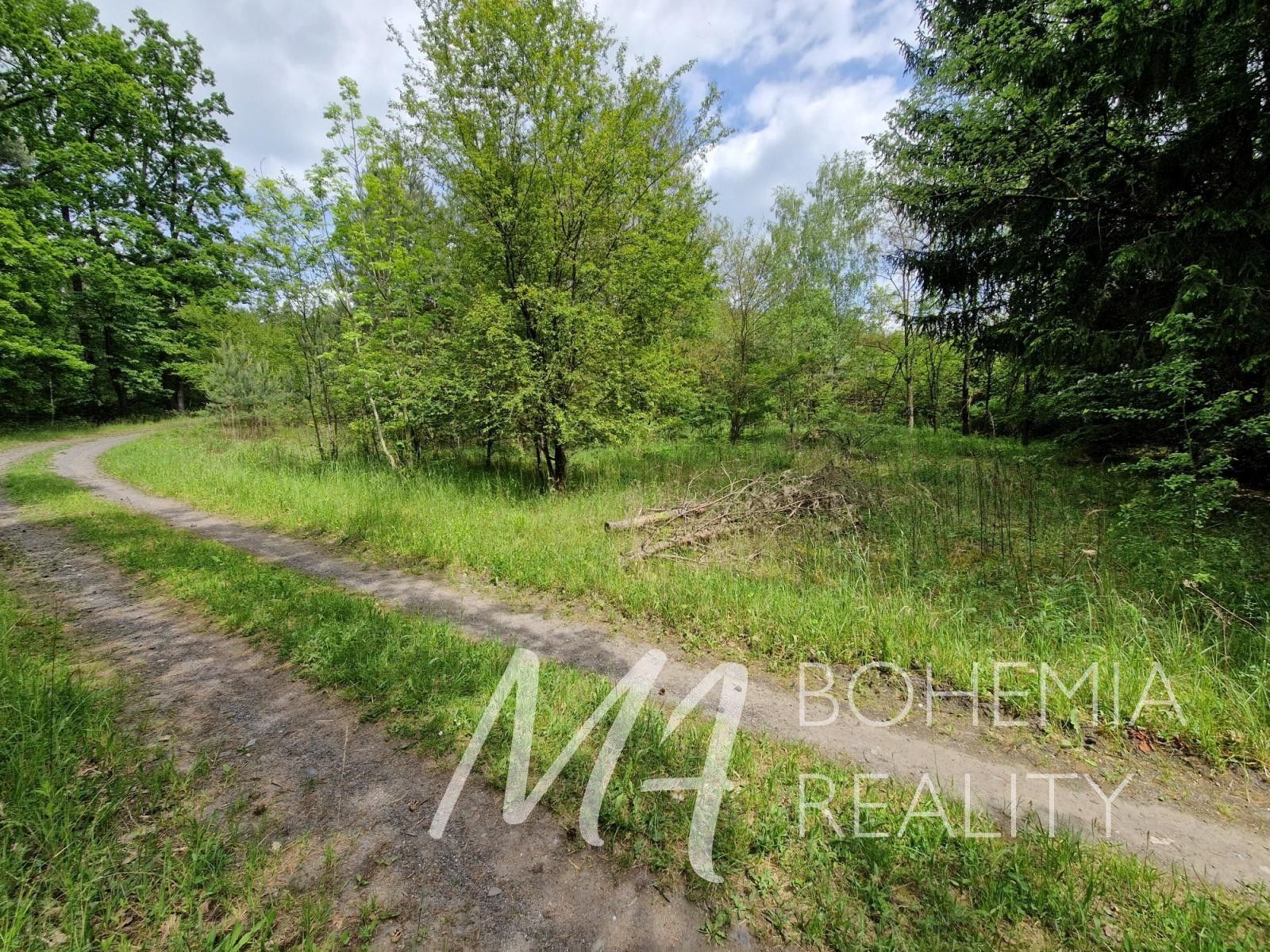 Prodej nemovitosti 15564 m² - foto 8