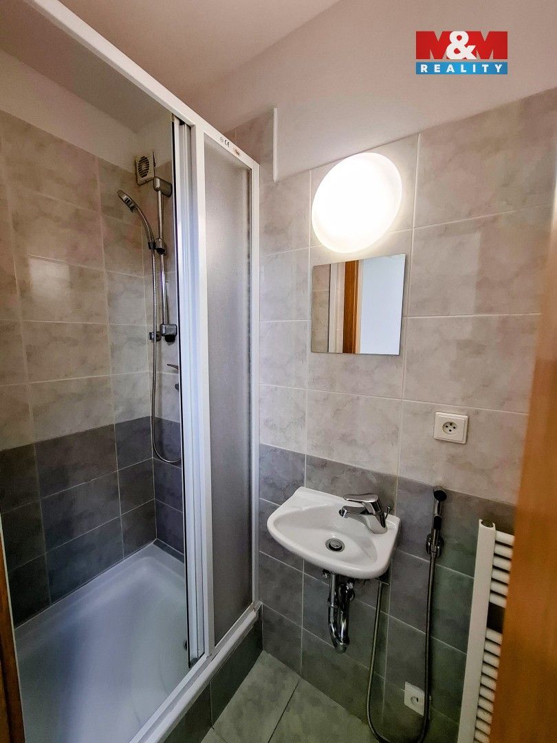 Pronájem bytu 4+1 129 m² - foto 14