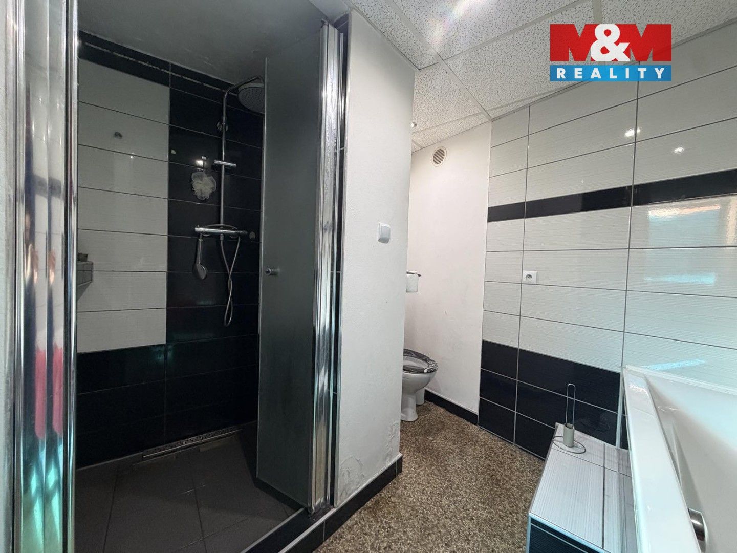 Prodej domu 306 m² - foto 5