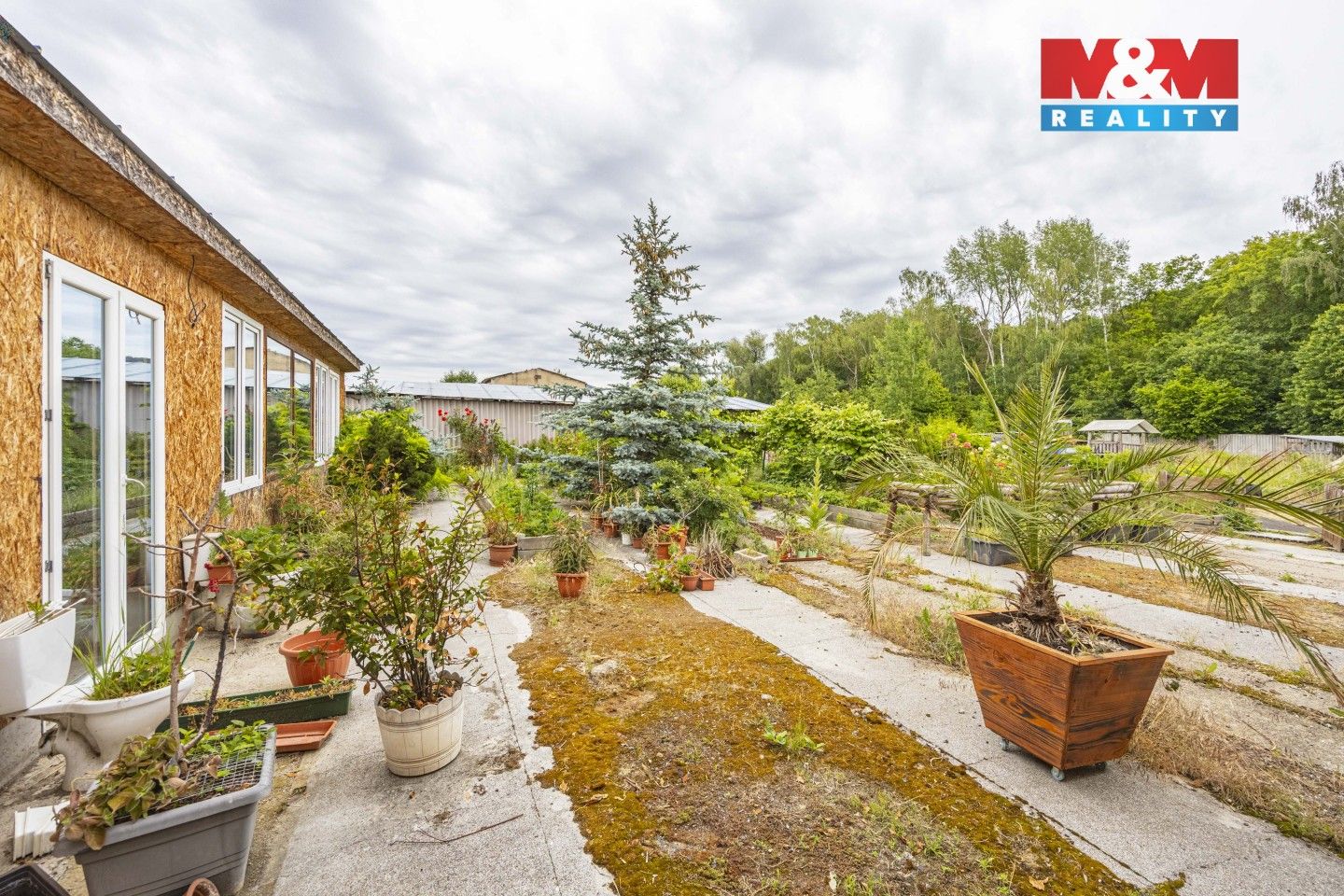 Prodej nemovitosti 3835 m² - foto 5