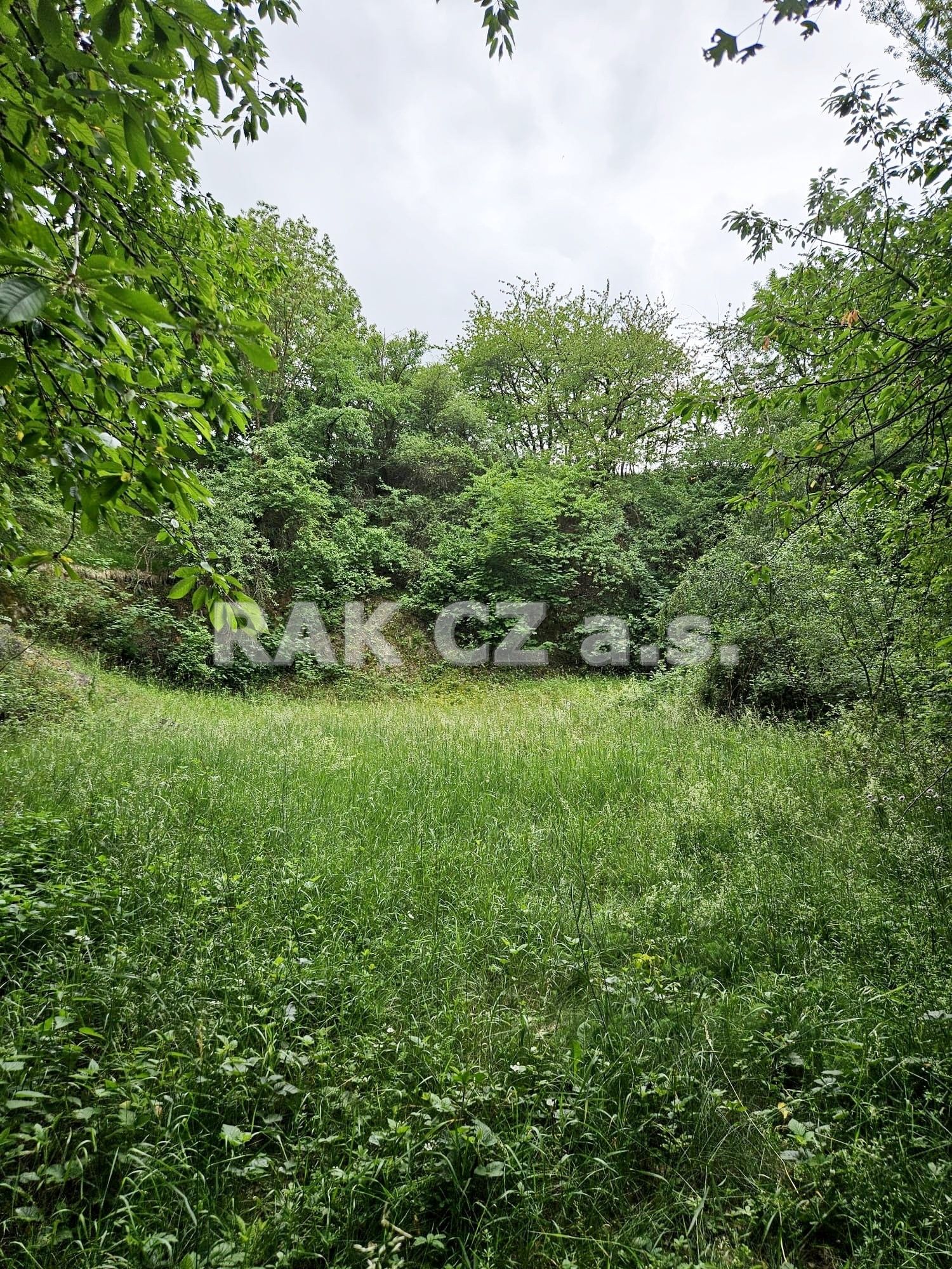 Prodej nemovitosti 47568 m² - foto 4