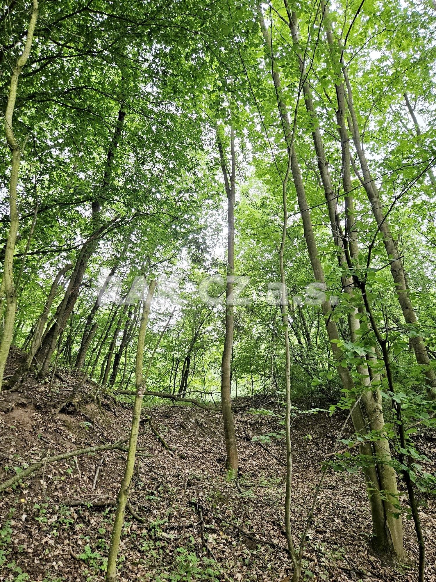 Prodej nemovitosti 47568 m² - foto 11